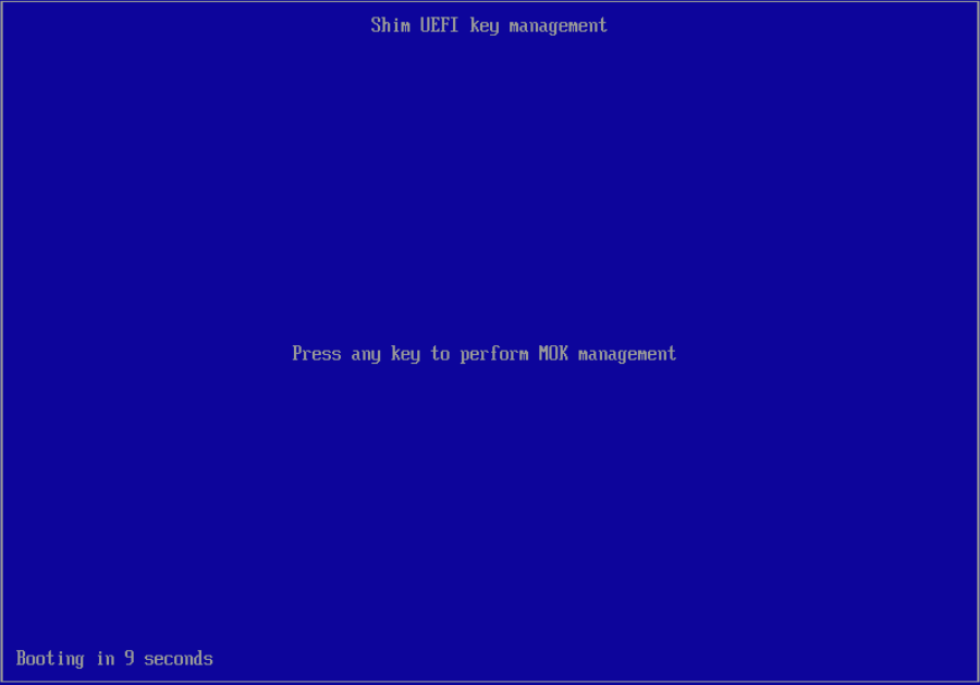 Disable UEFI secure boot