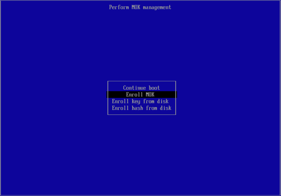 Disable UEFI secure boot
